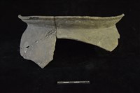 陶罐藏品圖，第1張